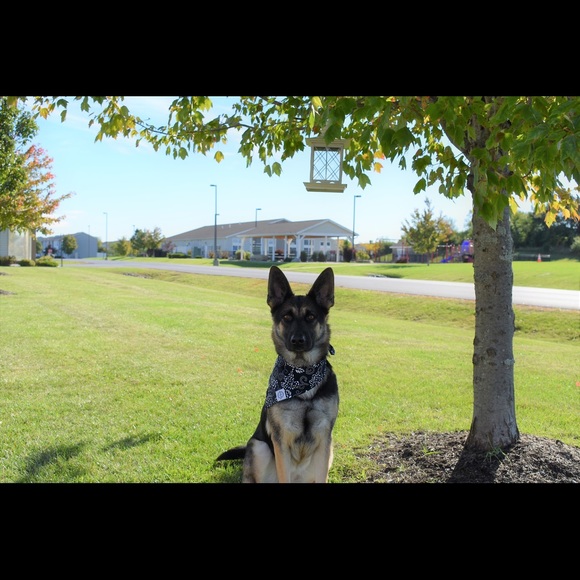 HI! I’m Hannah!! - Picture 5 of 6